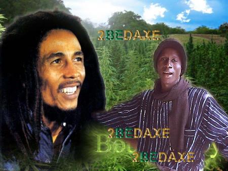 rasta