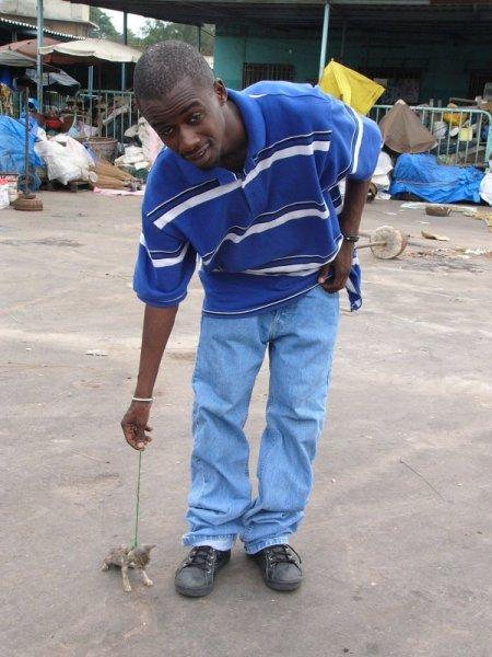 fou malade